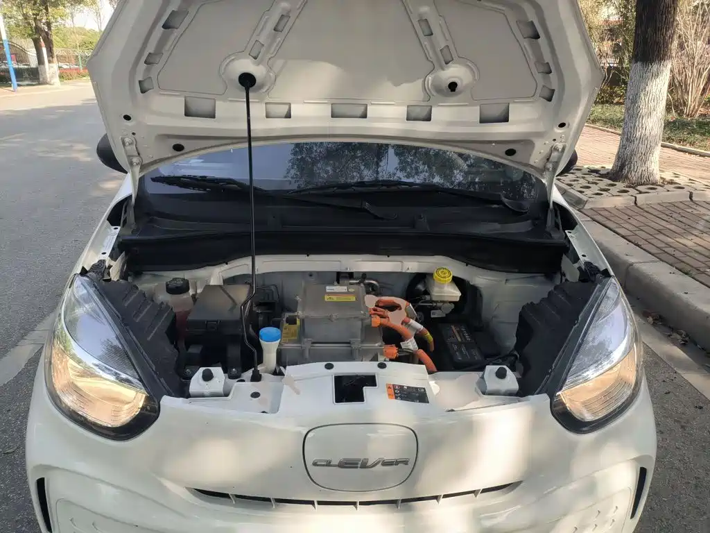 Roewe Kaiwei CLEVER 2023 2022 311km Vitality Bobo Edition