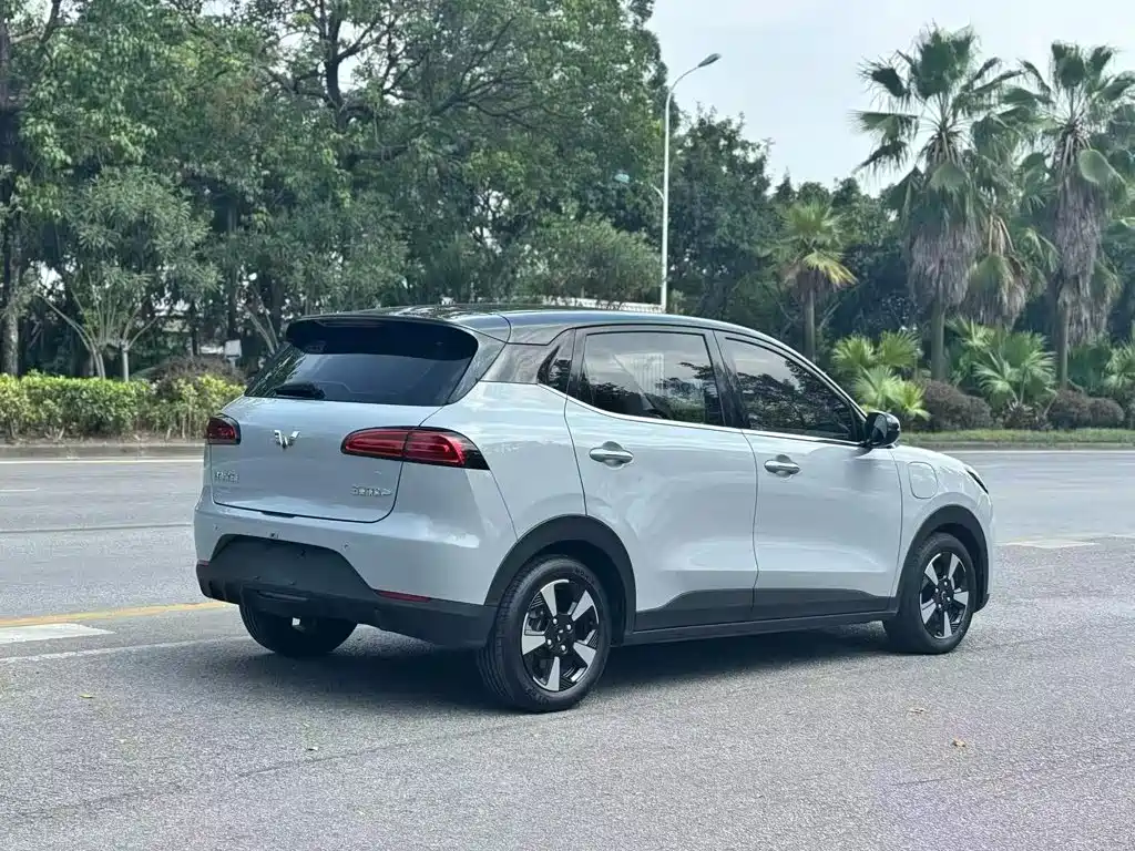 Wuling Motors Wuling Binguo PLUS 2024 2024 401km Range 5-seater