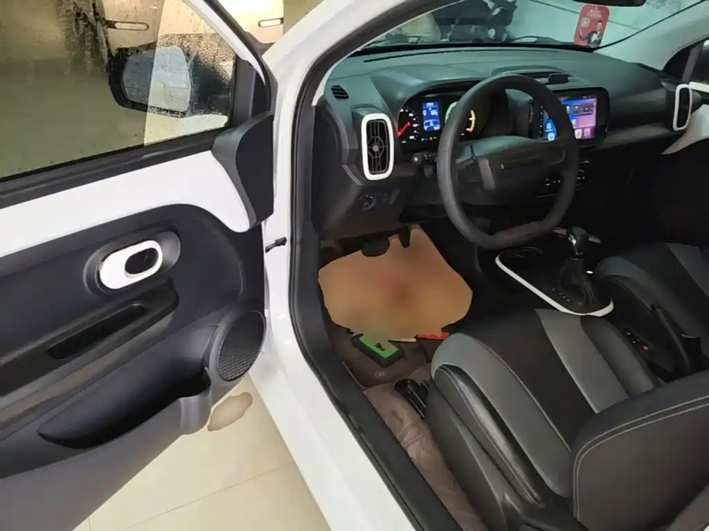 Roewe Clever 2023 2022 311km Vitality Bobo Edition