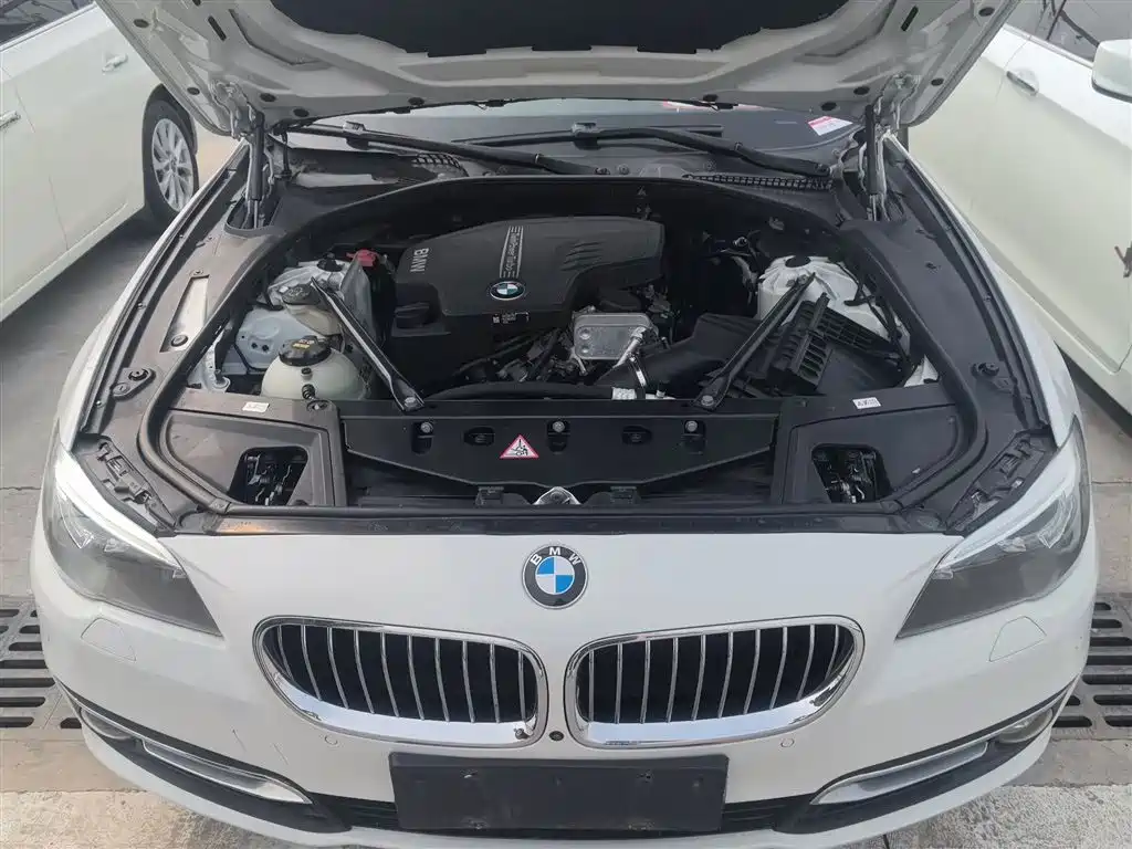 BMW 5 Series 2014 520Li Elegance фото 11
