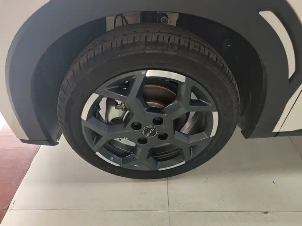 BYD Seagull 2026 2025 Smart Drive Edition 305km Freedom Version