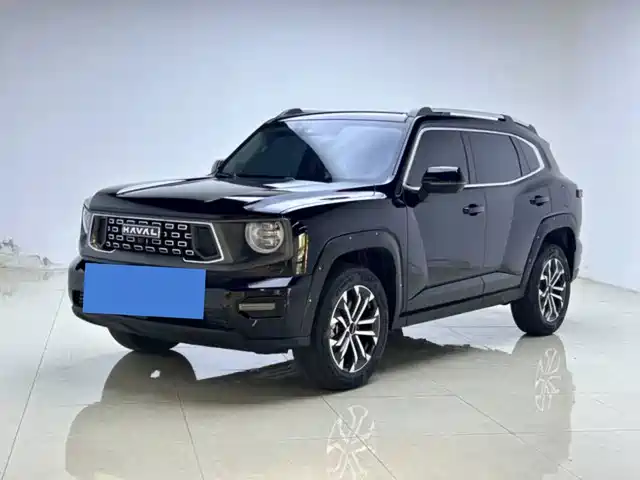 Haval Big Dog 2024 2.0T DCT Chinese Rural Dog Edition