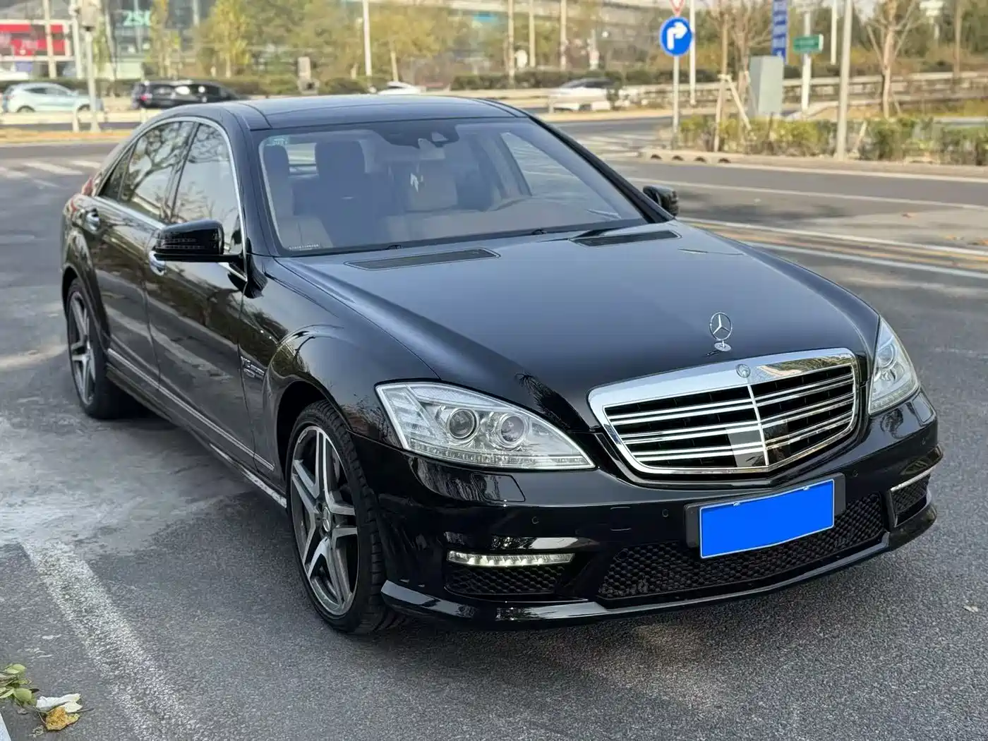 Mercedes-Benz S-Class AMG 2013 AMG S 65 L Grand Edition фото 6