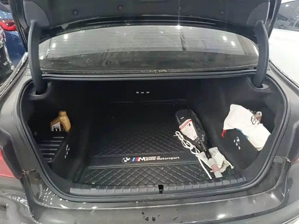 BMW 5 Series 2020 530Li Leading M Sport Package фото 19