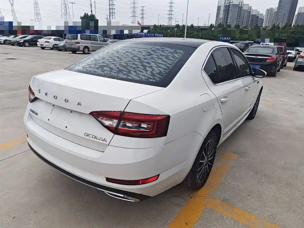 Škoda Octavia 2019 1.5L Automatic Smart Luxury China VI фото 7