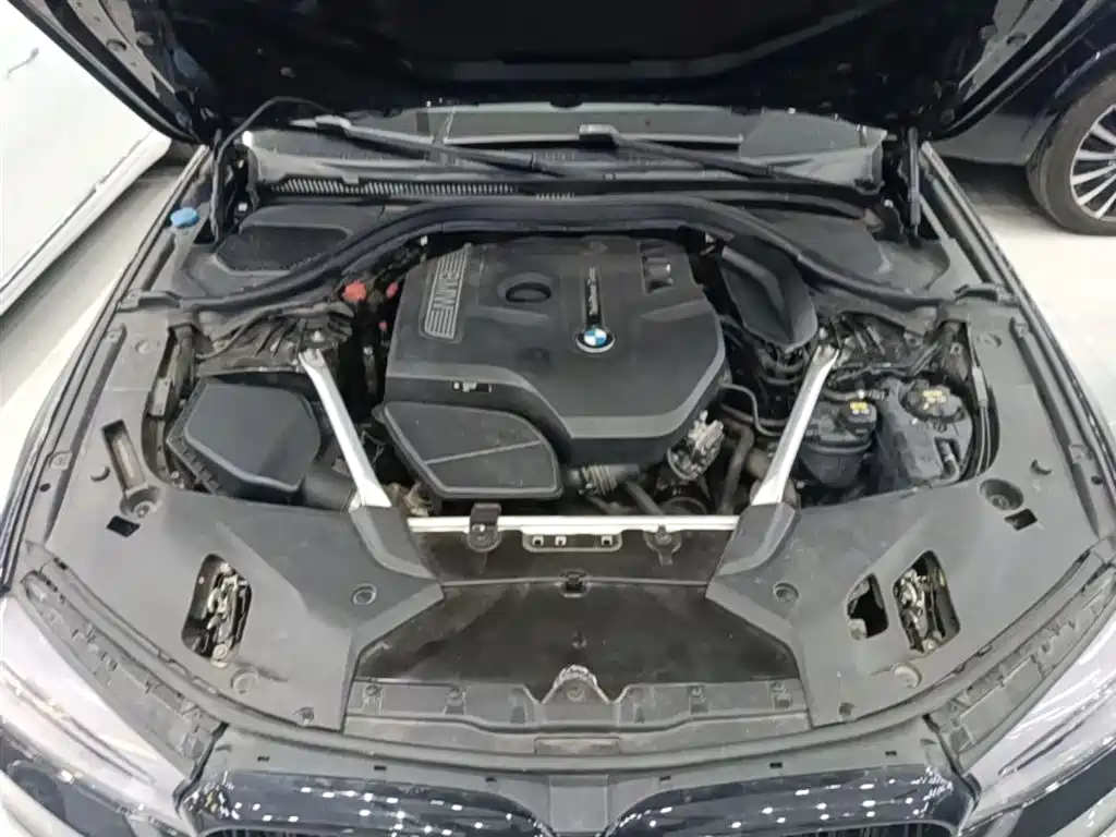 BMW 5 Series 2020 530Li Leading M Sport Package фото 20