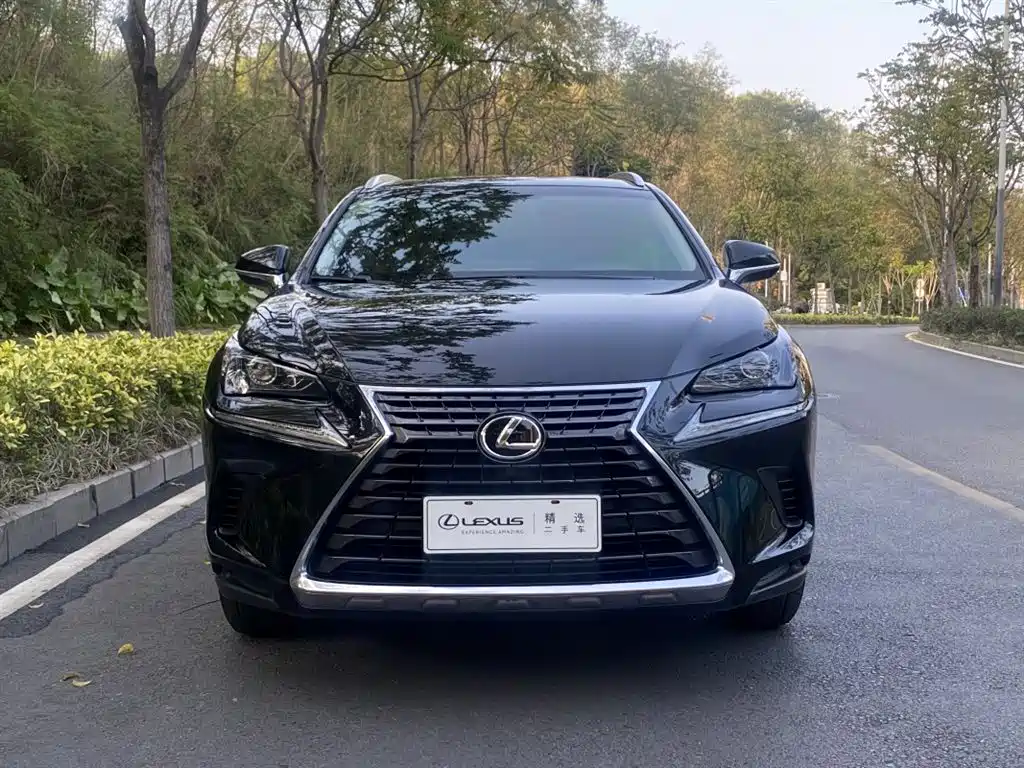 Lexus NX 2018 Model 200 FWD Fengxing Edition China V фото 2