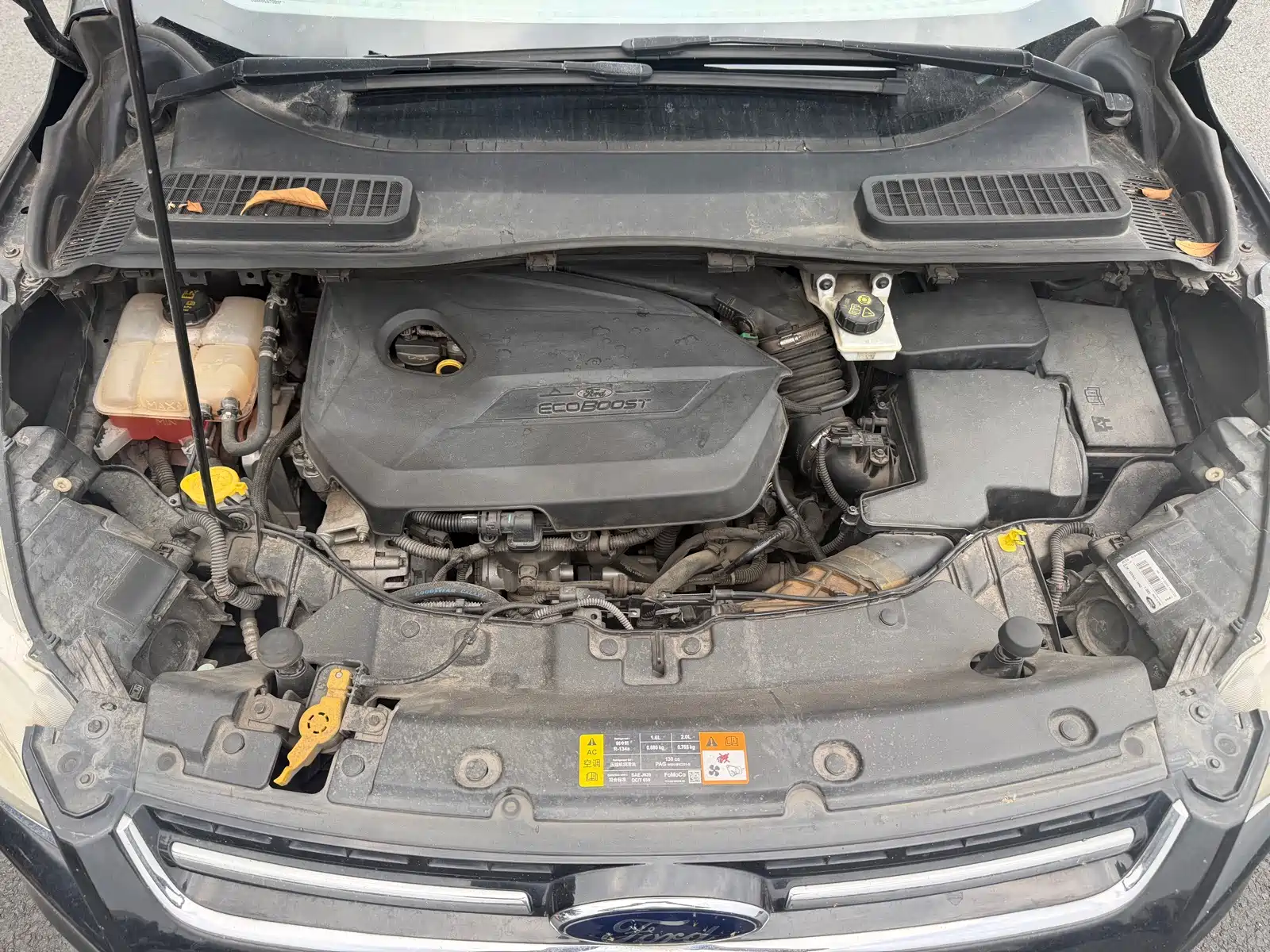 Photo 10 - Ford Kuga