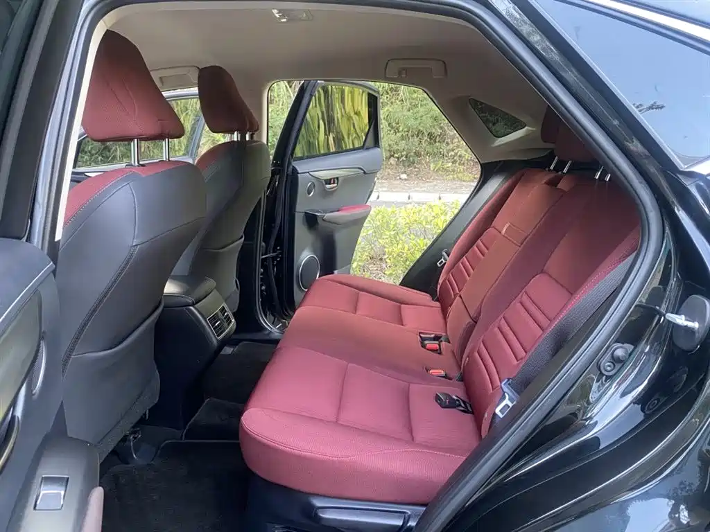 Lexus NX 2018 Model 200 FWD Fengxing Edition China V фото 9