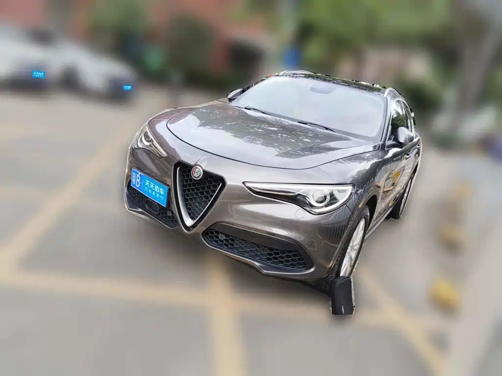 Alfa Romeo Stelvio 2017 2.0T 200HP Elite