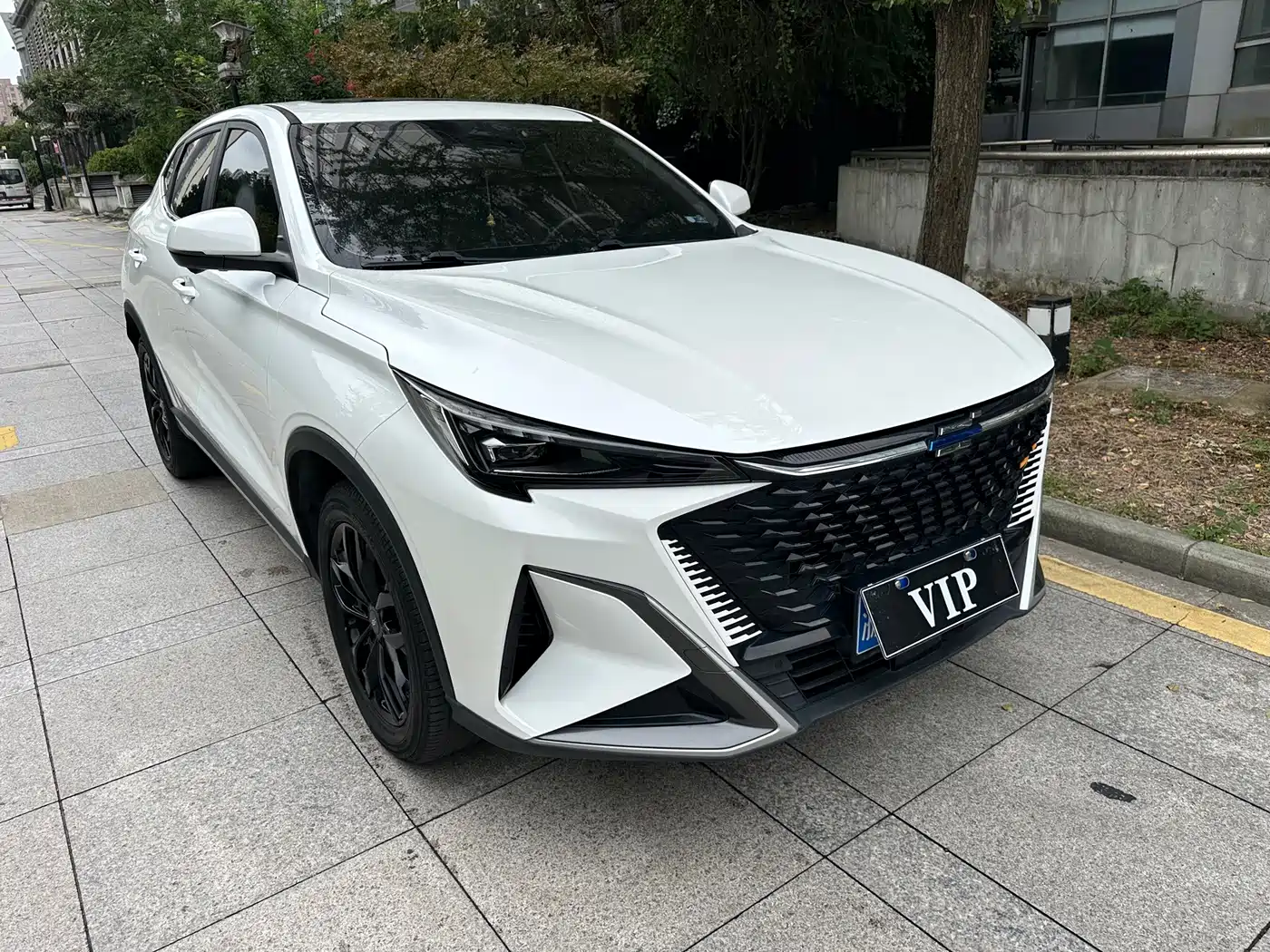 2023 Changan Oshan X5 PLUS
