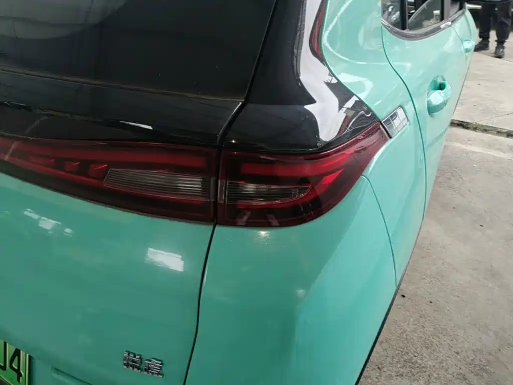 Dayun Yuehu 2022 2022 30.66kWh 2WD VIP Edition