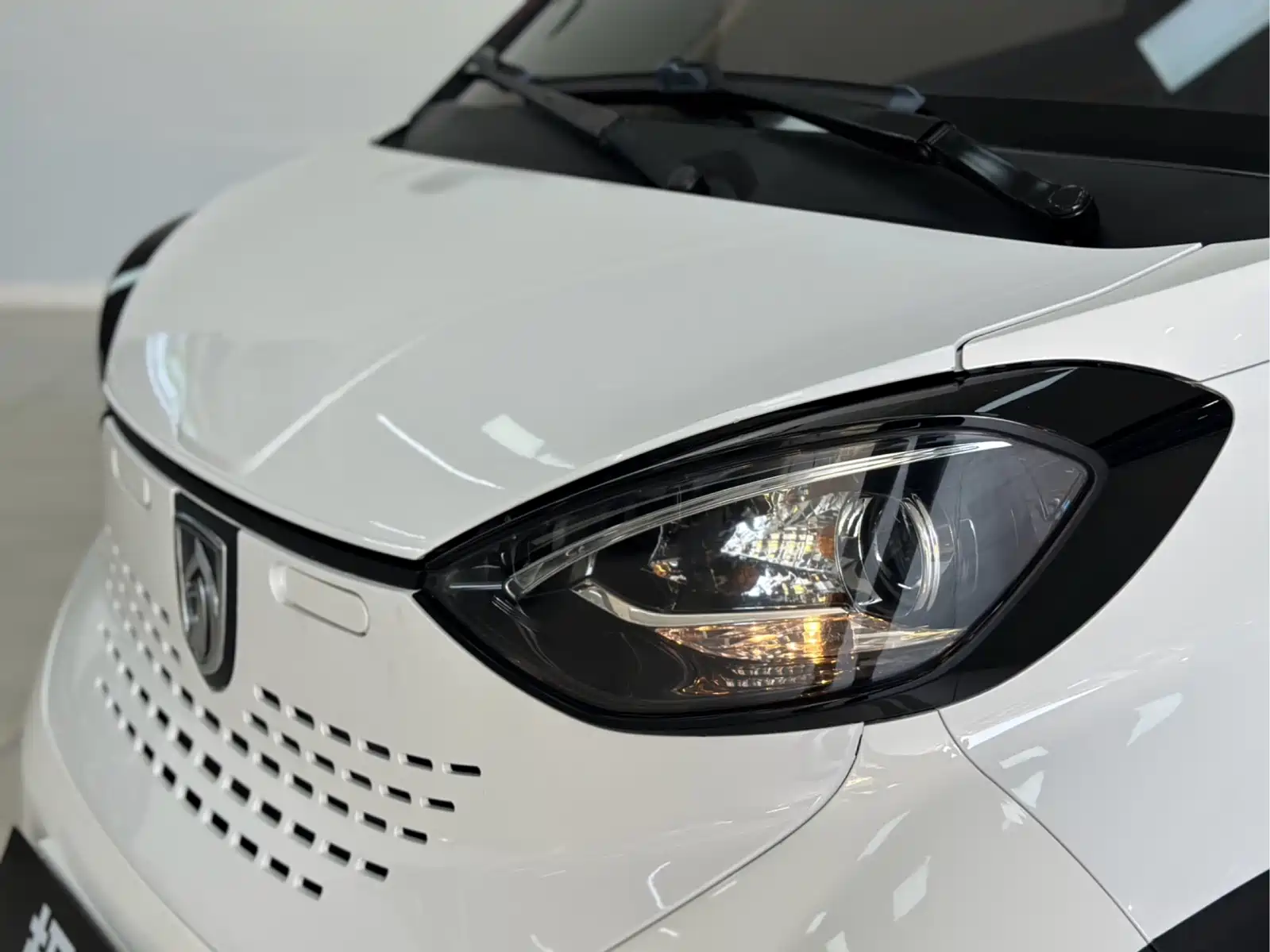 Фото 3 - Baojun E100