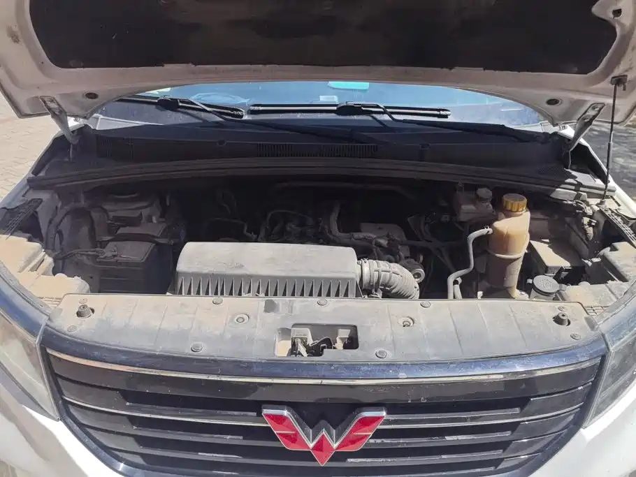 Wuling Motors Wuling Journey 2021 2021 1.5T Manual Luxury Edition