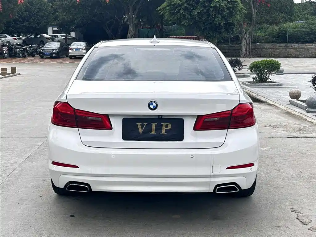 BMW 5 Series 2018 528Li Launch Special Edition фото 5