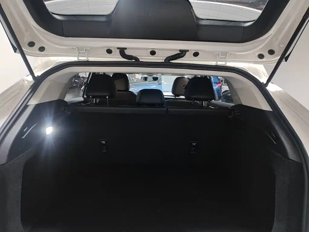 Roewe D5X DMH 2024 2024 135 Luxury Edition