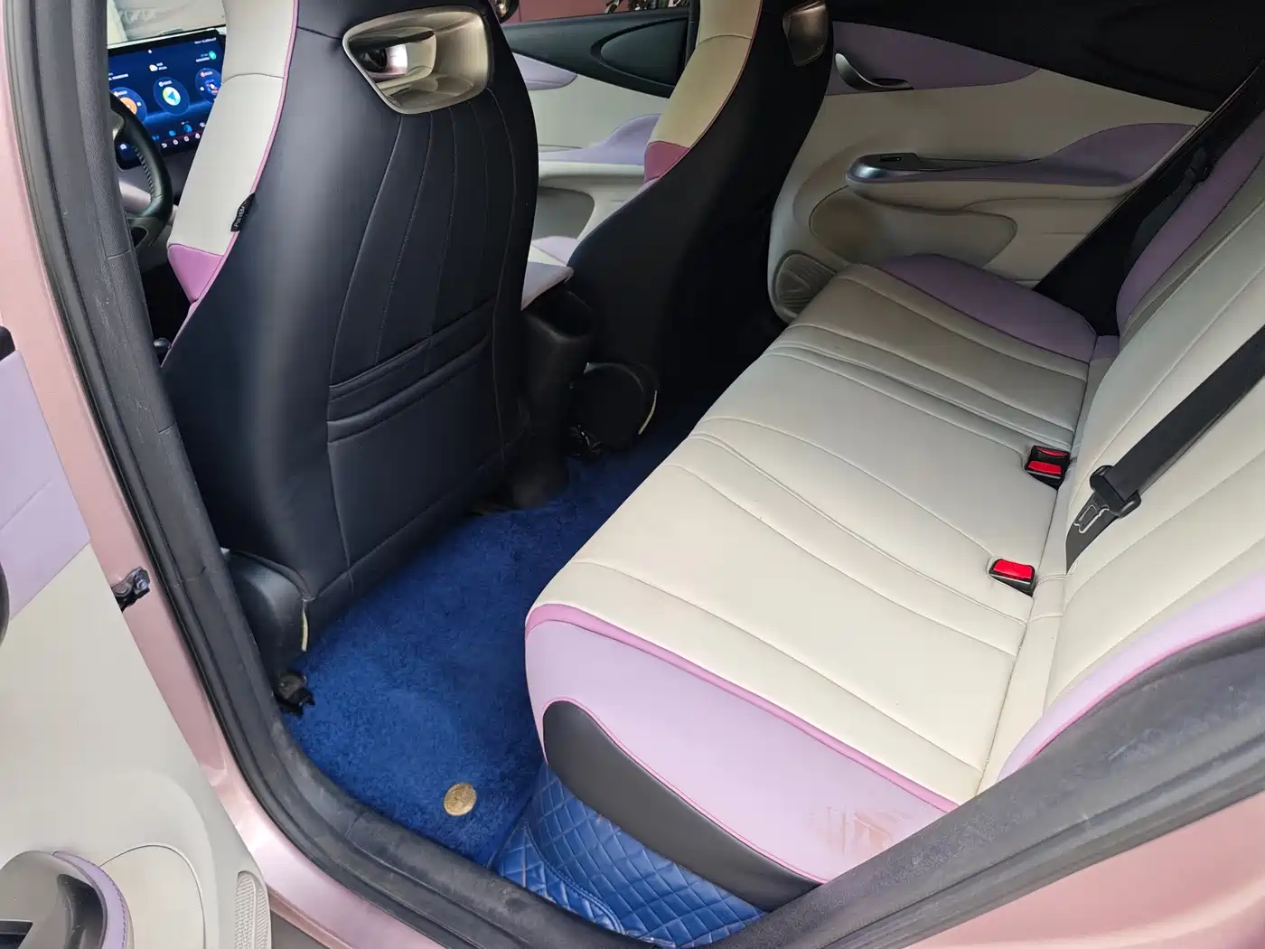 BYD Dolphin 2020 2021 405km Freedom Edition