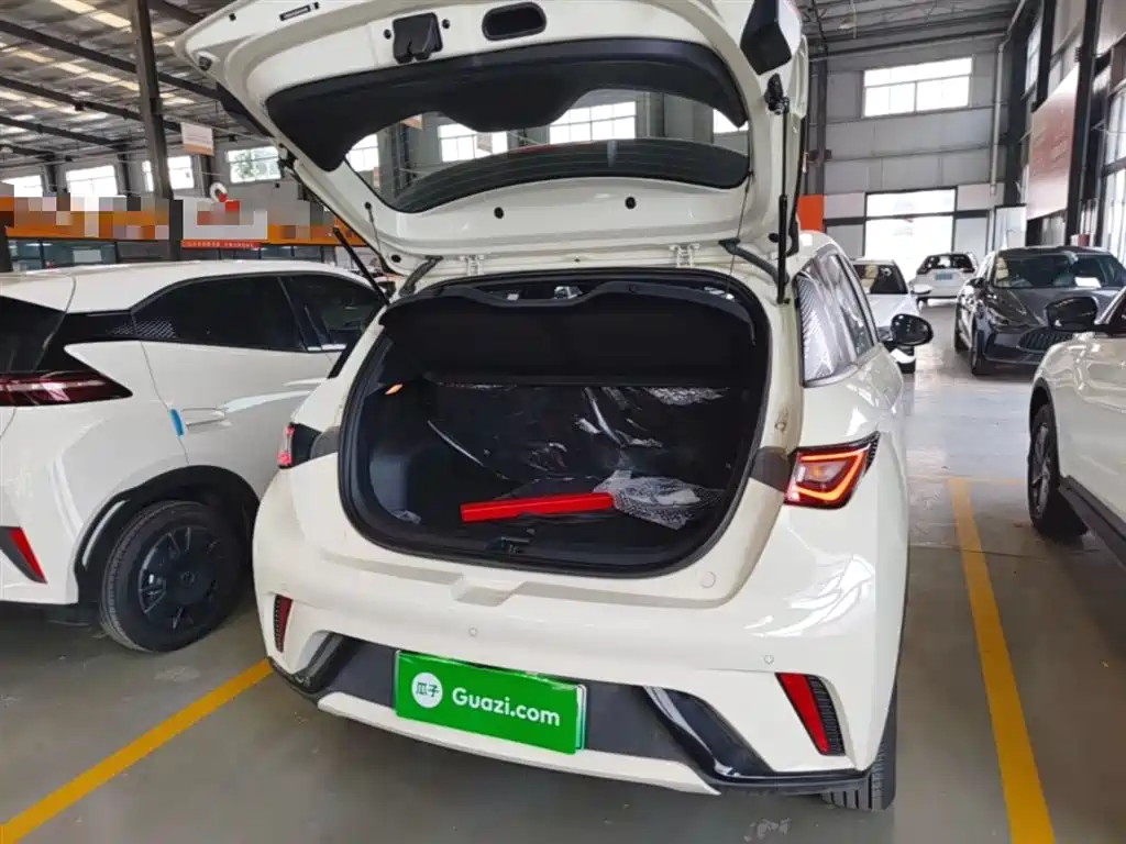 BYD Dolphin 2026 2025 420km Freedom Edition