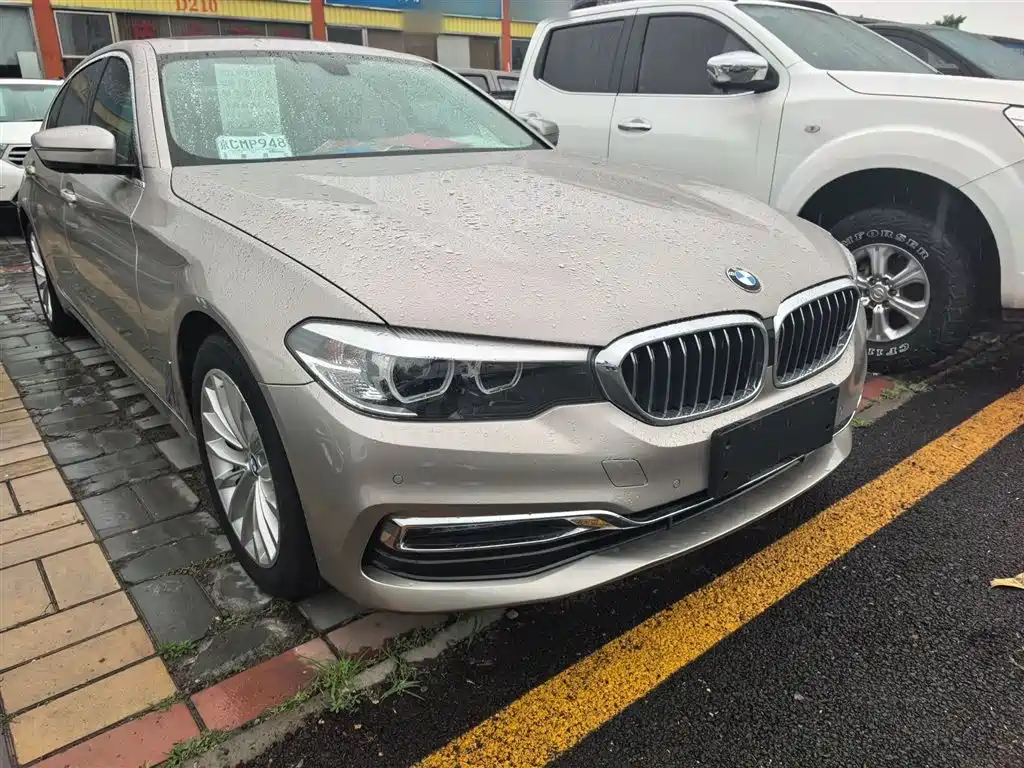 BMW 5 Series 2019 530Li Leading Luxury Package фото 6