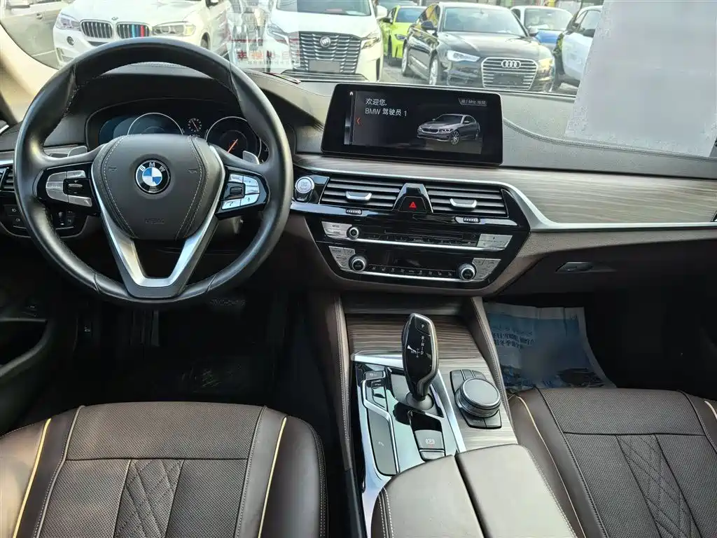 BMW 5 Series 2019 530Li Leading Luxury Package фото 16