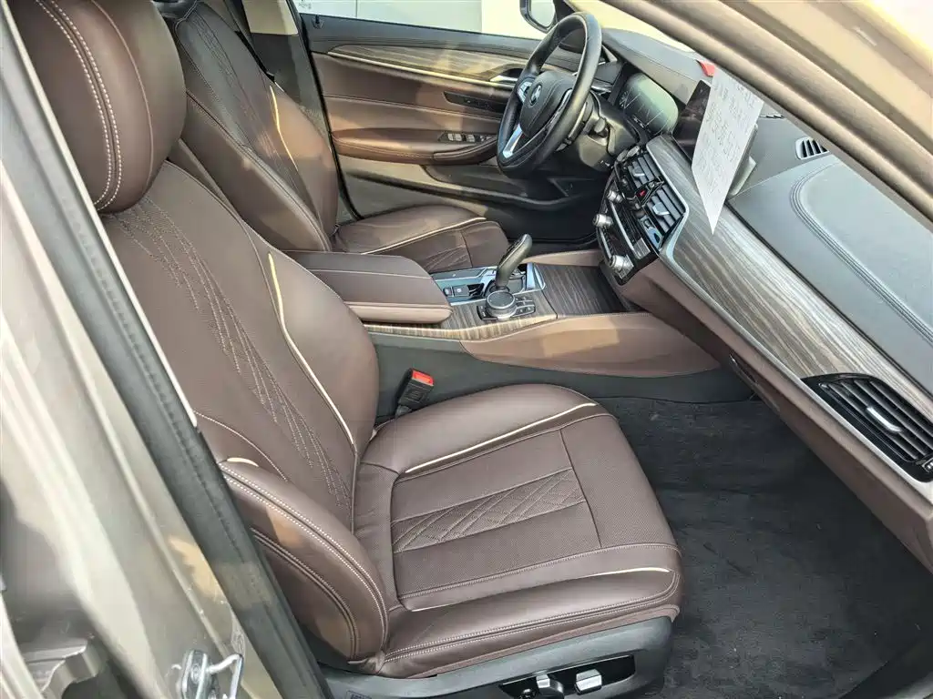 BMW 5 Series 2019 530Li Leading Luxury Package фото 13