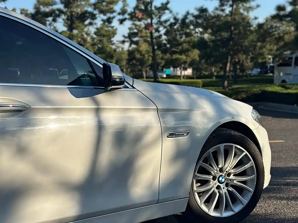 BMW 5 Series 2017 525Li Luxury Design Package фото 7