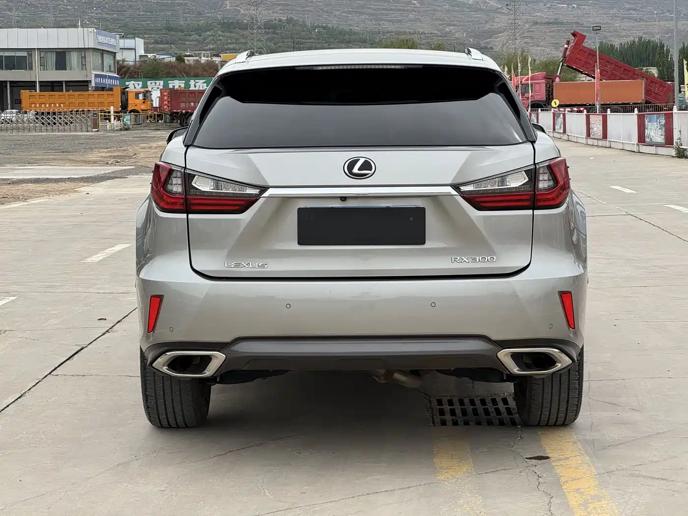 Lexus RX 2016 300 4WD Elegance Edition (China V) фото 8