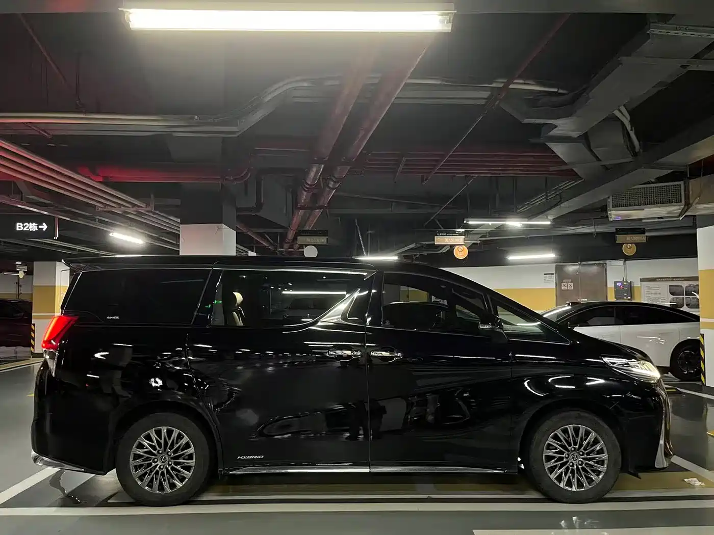 Lexus LM 2020 300h Seven-Seater Elegance Edition фото 5