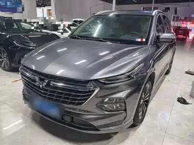 Wuling Victory