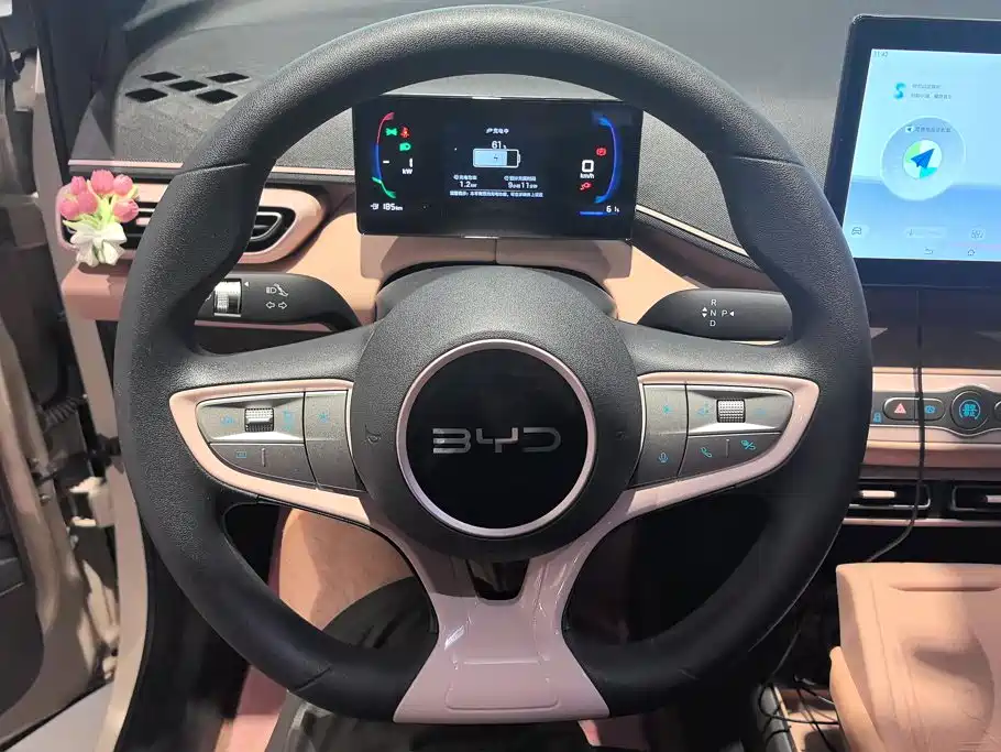 BYD Seagull 2026 2025 Smart Drive Edition 305km Vitality Version