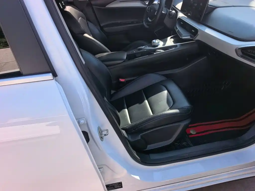 Geely Geometry A 2023 2022 Model Pro 430KM Travel Edition