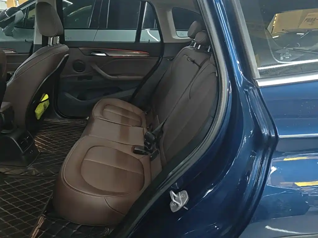 BMW X1 New Energy 2019 xDrive25Le Range Upgrade Edition фото 17