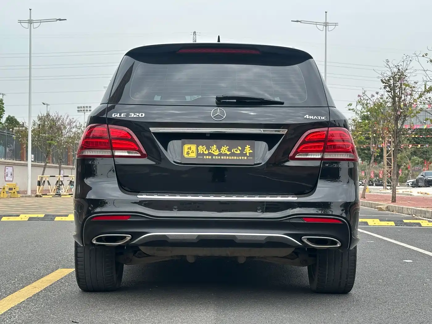 Mercedes-Benz GLE 2016 GLE 320 4MATIC Luxury фото 6