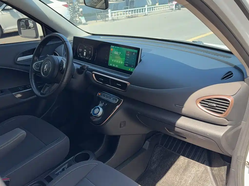 Ora White Cat 2021 2022 Upgraded 305km Luxury (NMC)