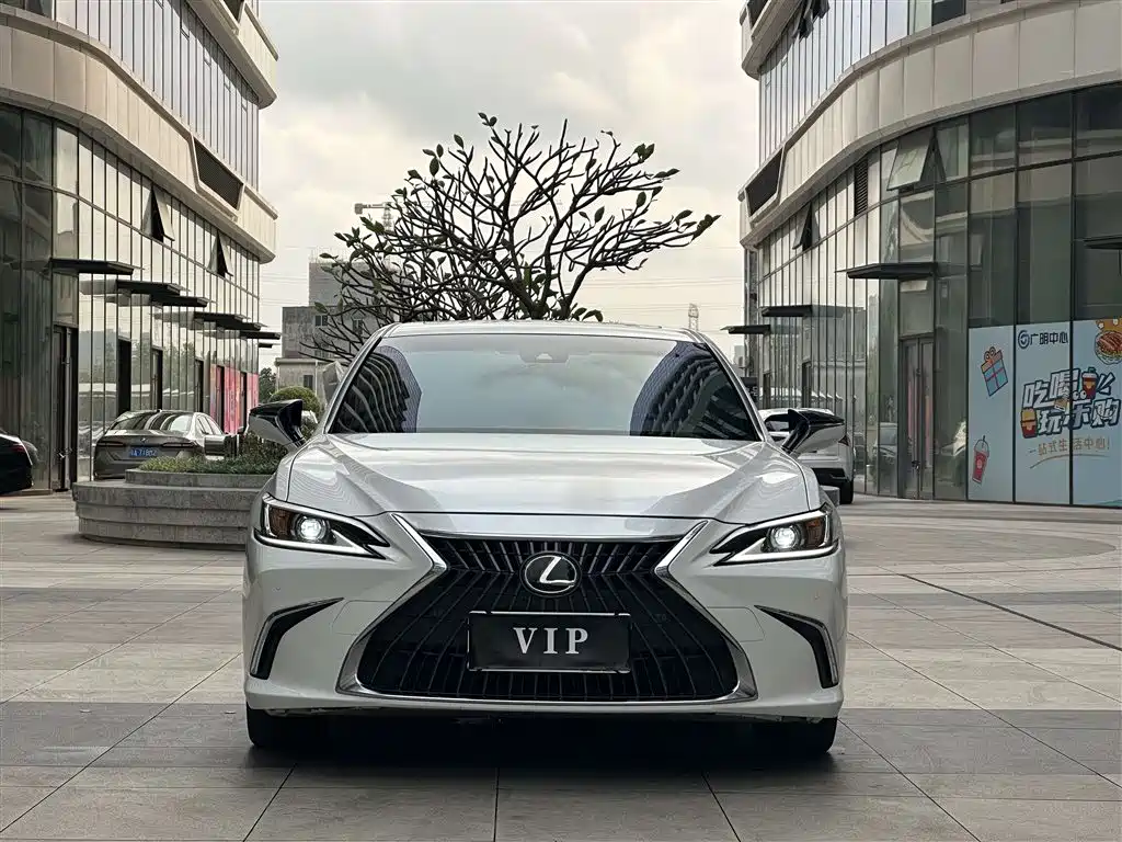 Lexus ES 2022 200 Excellence Edition фото 2