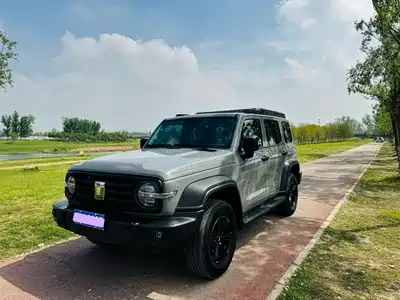 Tank 300