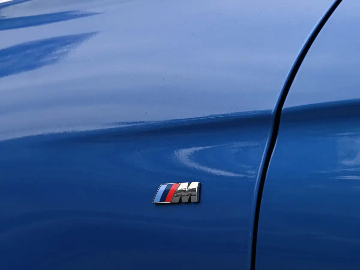 BMW 3 Series 2019 320Li M Sport Package фото 13