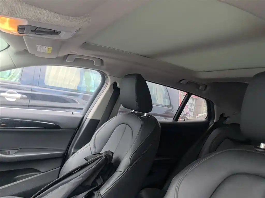BMW X2 (Import) 2019 sDrive20i M Off-Road Package China VI фото 18