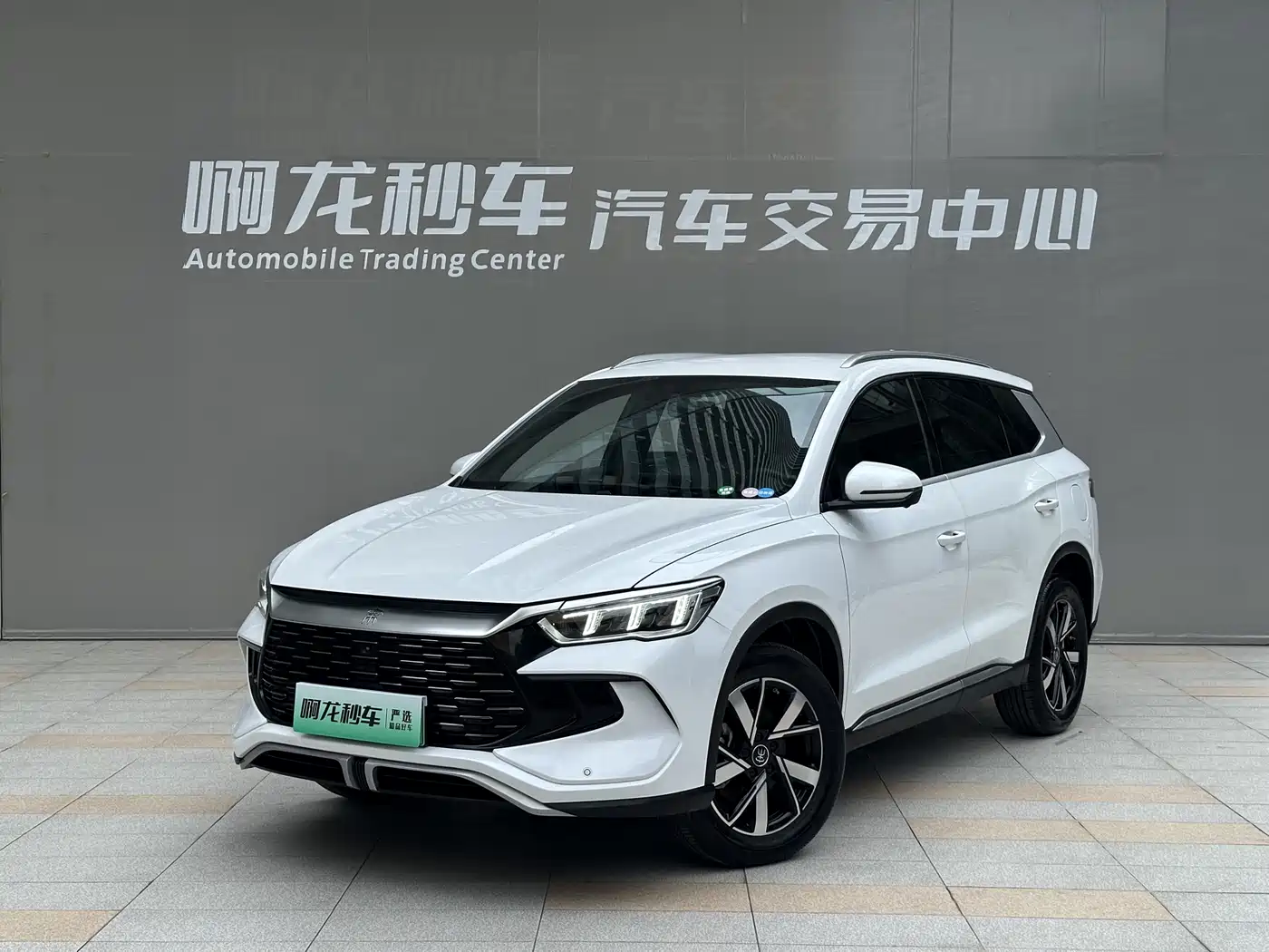BYD Song Pro New Energy 2023 Champion Edition DM-i 71KM Pilot Model