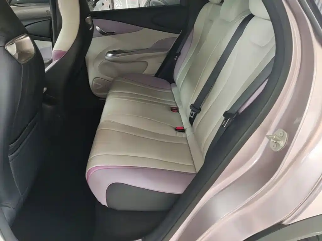 BYD Dolphin 2021 2021 401km Knight Edition