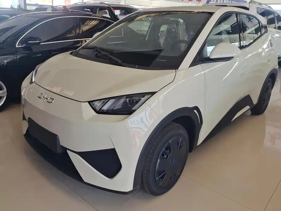 BYD Seagull 2026 2025 Smart Drive Edition 305km Vitality Version