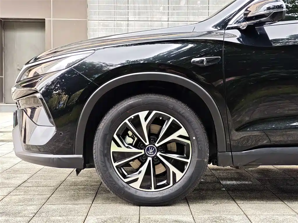BYD Song Pro New Energy 2025 2nd Generation Smart Drive Edition DM-i 75KM Leading Type фото 5