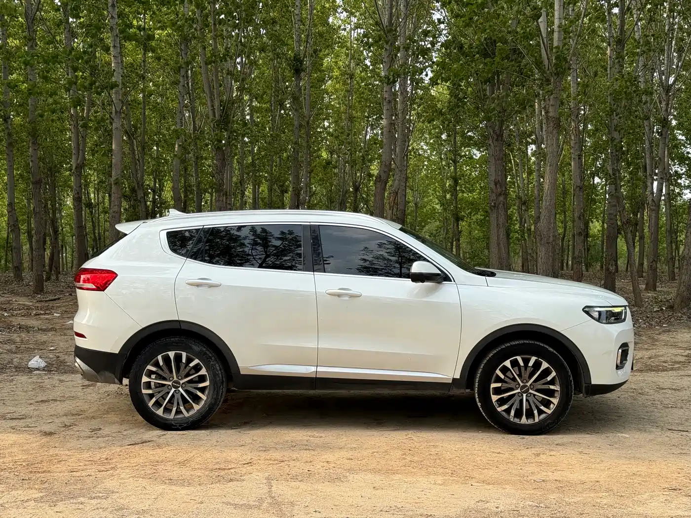 Haval H6 2020 1.5GDIT Automatic Platinum Luxury Edition фото 3
