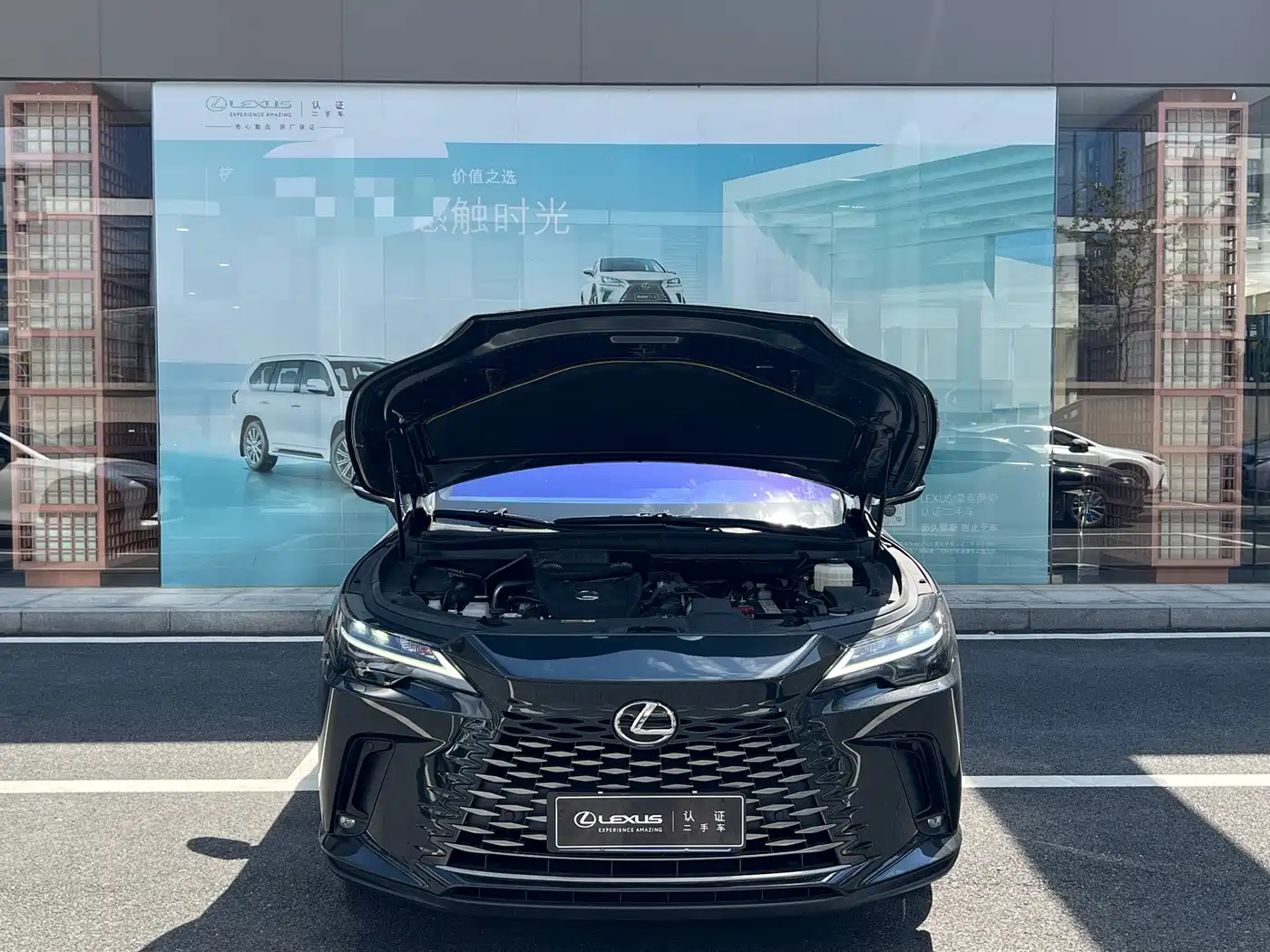 Lexus RX 2024 2025 300 4WD Premium Edition