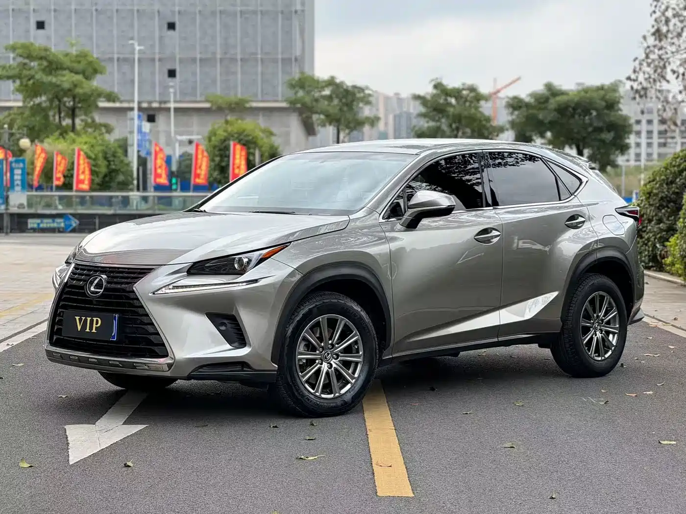 Lexus NX 2018 Model 300 FWD Fengxing Edition