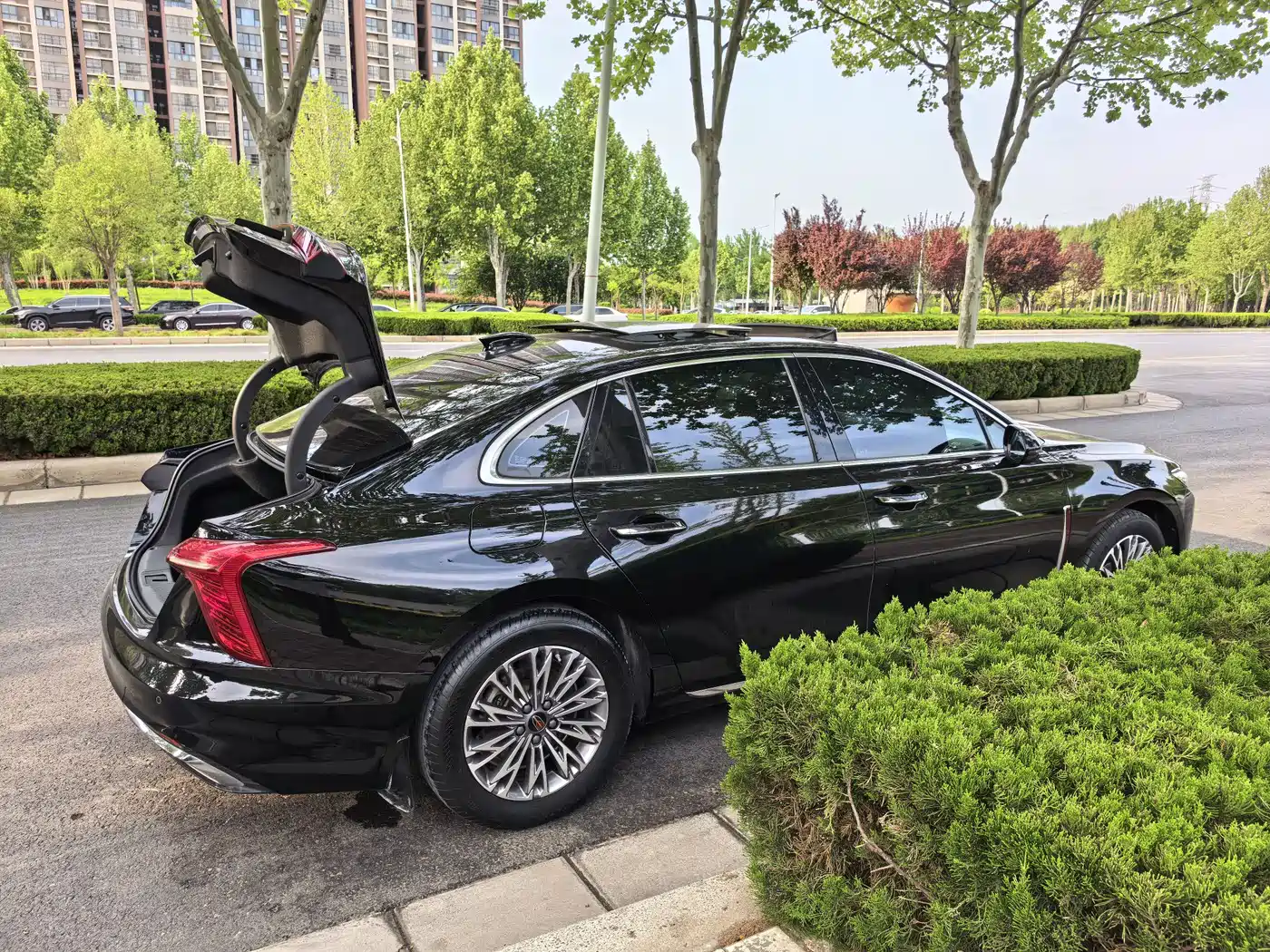 Hongqi H5 2023 2.0T Auto Smart Connect Flag Enjoy фото 28