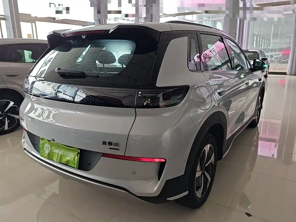 BYD Hai Shi 05 EV 2025 520KM Smart Navigation Edition фото 7