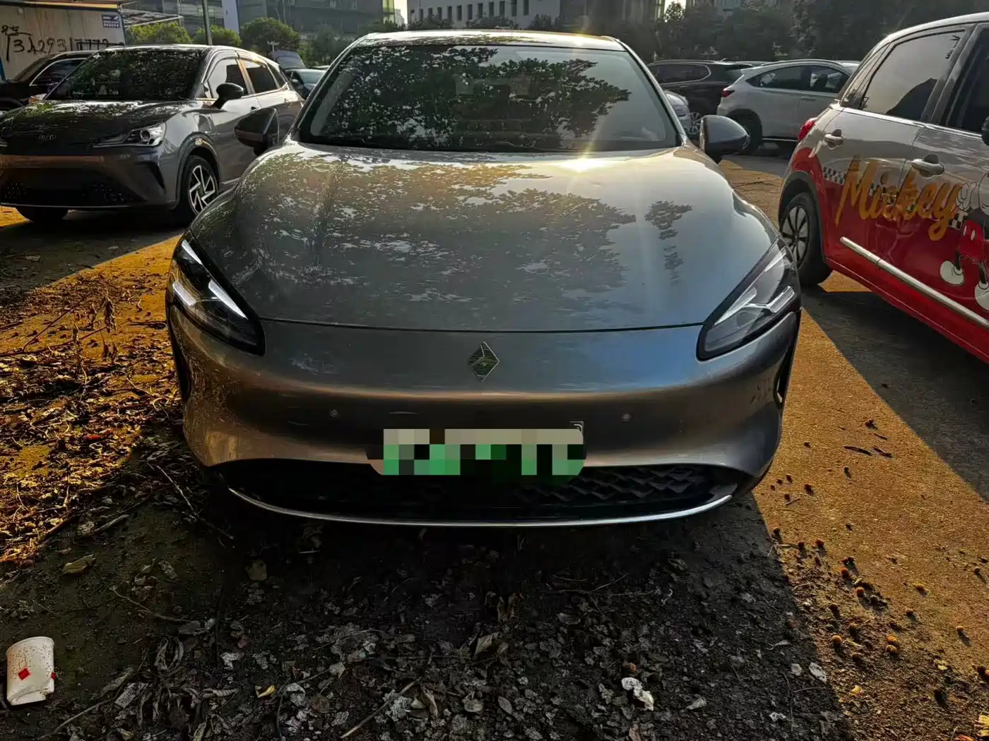 Baojun Enjoyment 2025 2025 BEV 600km Chauffeur Edition