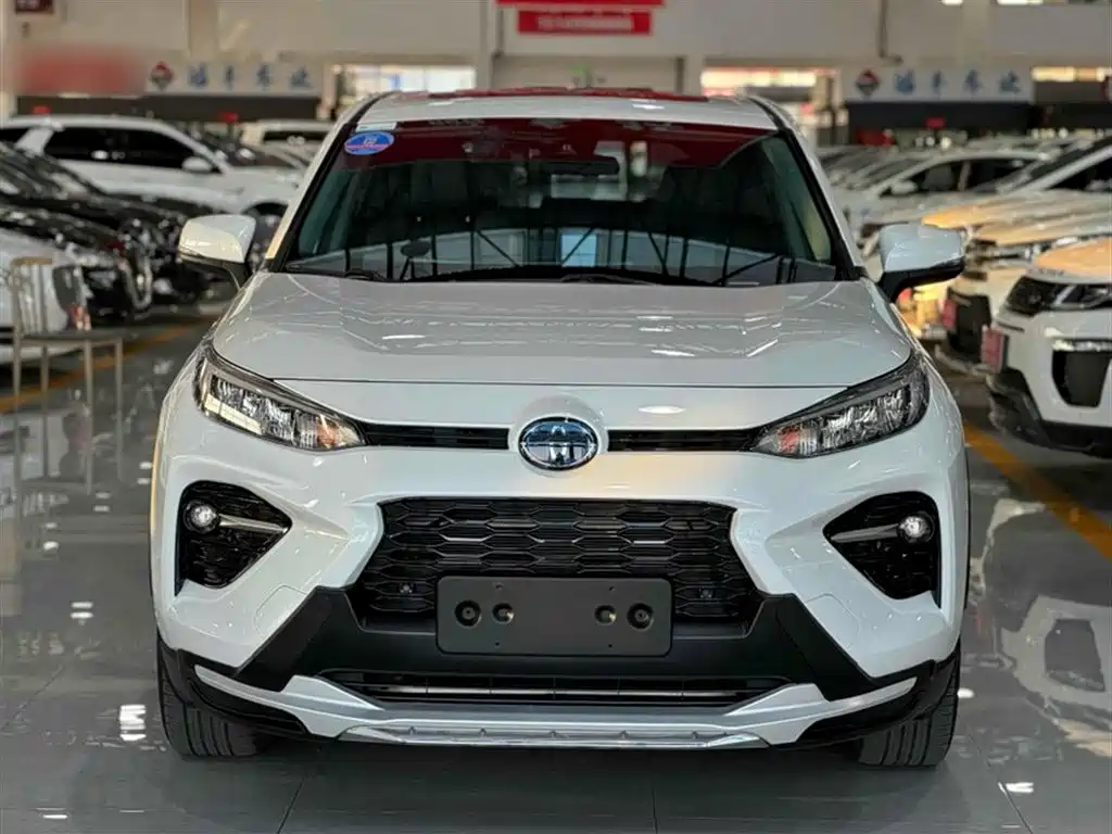 Toyota Wildlander 2020 Dual Engine 2.5L E-CVT FWD Luxury фото 5