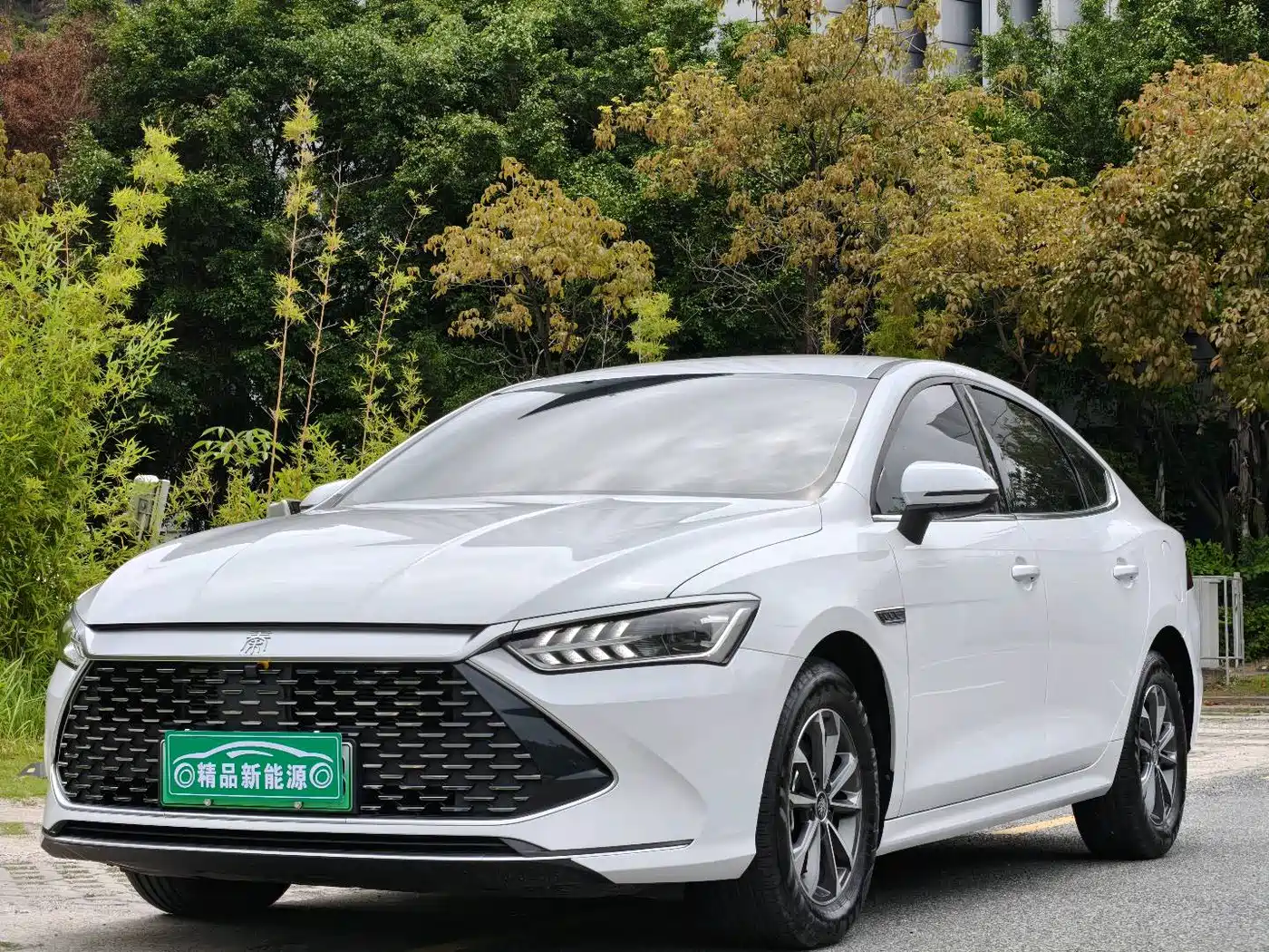 BYD Qin PLUS 2024 Glory Edition DM-i 55KM Leading